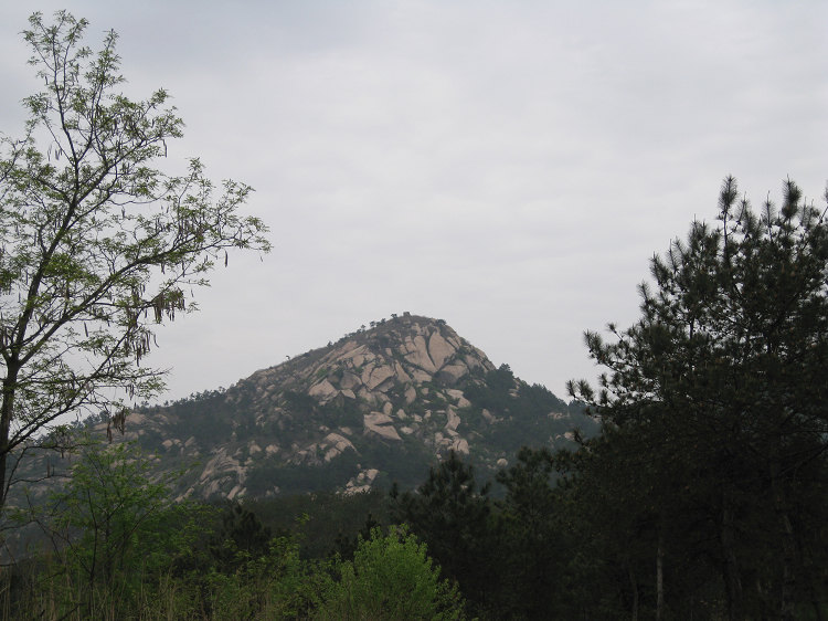 img_0446.jpg