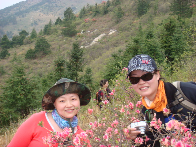 dsc01729.jpg