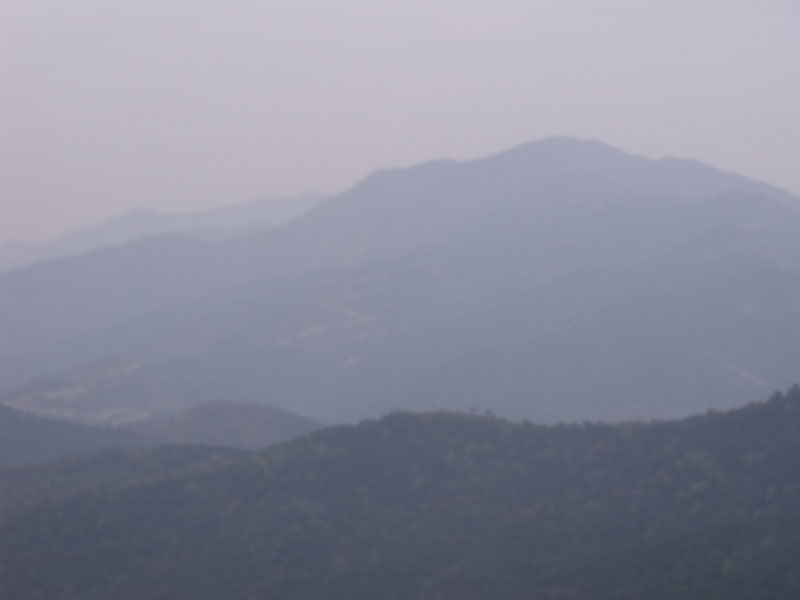 2010.4.17   052.jpg