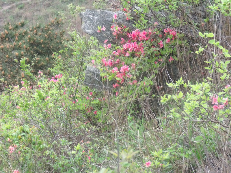 2010.4.17   031.jpg