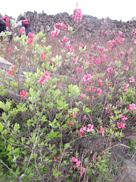 2010.4.17   050.jpg