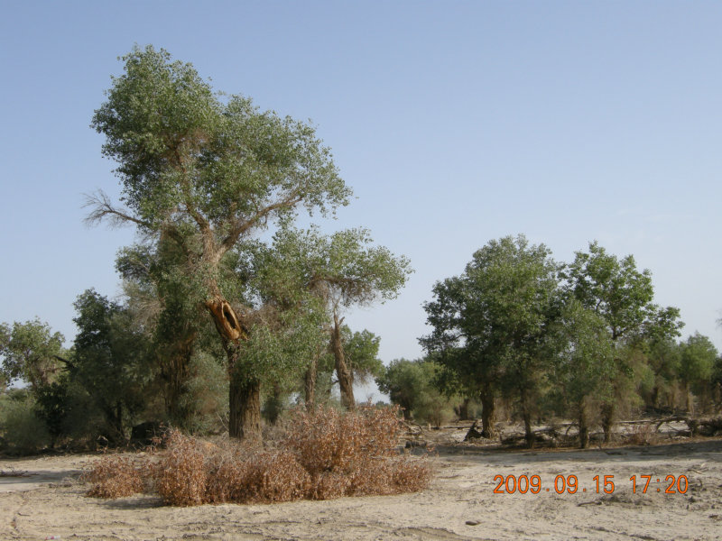 dscn3355.jpg