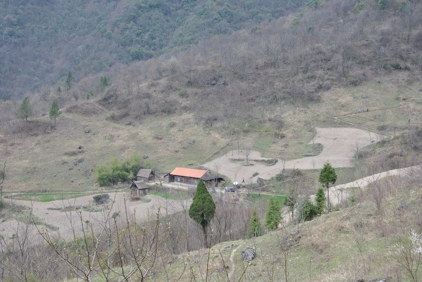 p 230.jpg