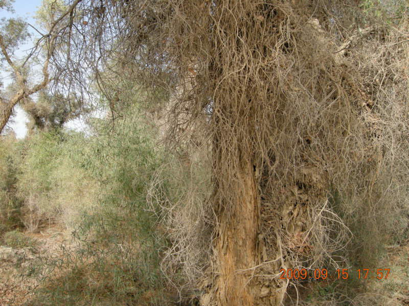 dscn3374.jpg