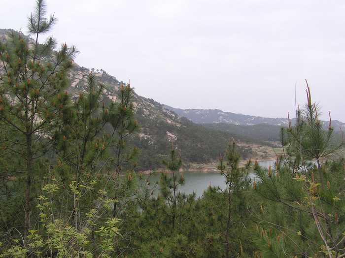 p1010017ѹ.jpg
