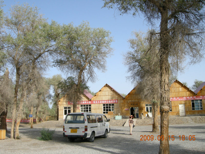dscn3383.jpg