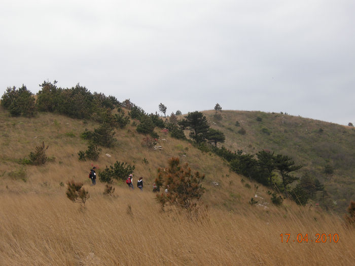 dscn3857.jpg