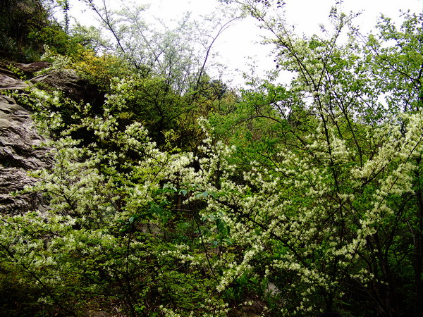 100_5216.jpg