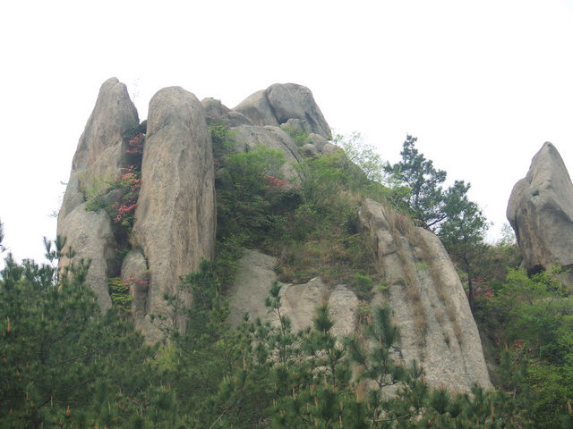 dscf0981.jpg