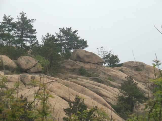 dscf1024.jpg