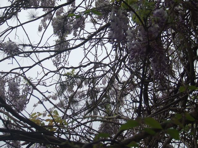 dscf1028.jpg