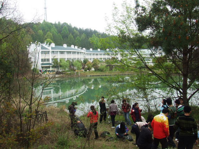 dscf1031.jpg