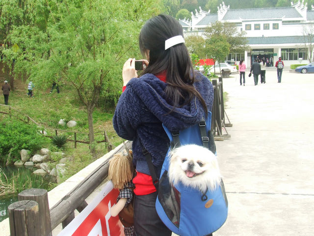 dscf1044.jpg