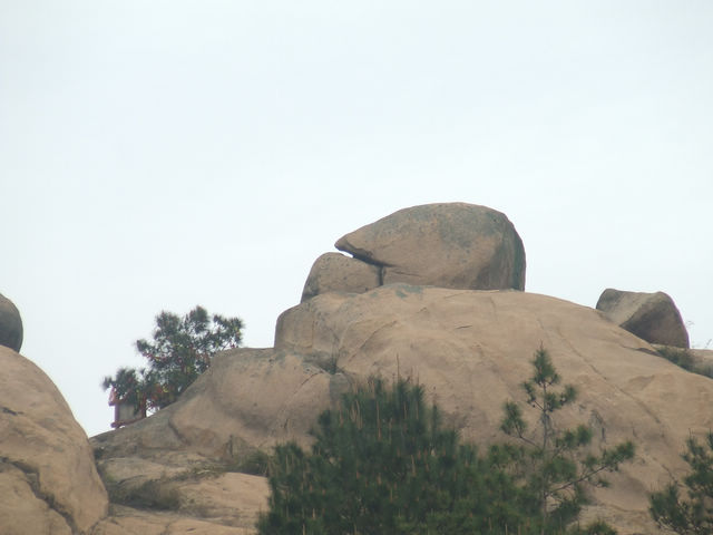 dscf1025.jpg