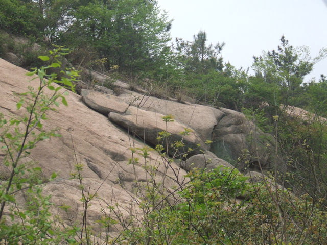 dscf1026.jpg