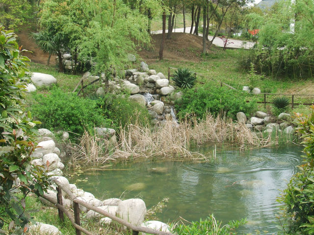 dscf1039.jpg