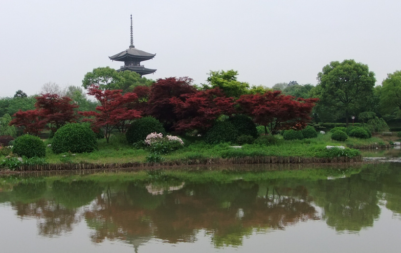 dscf3379.jpg