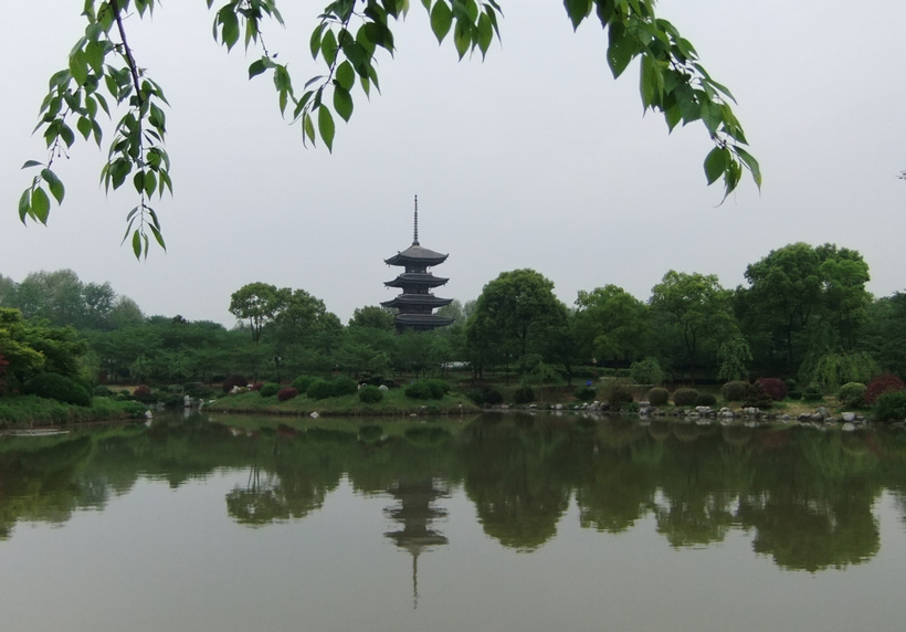 dscf3381.jpg