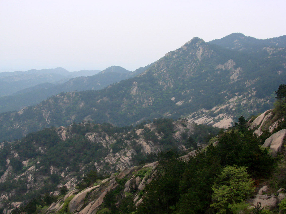 dsc00539-1.jpg