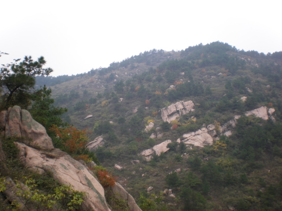 2009101120091011_20091011_26.jpg