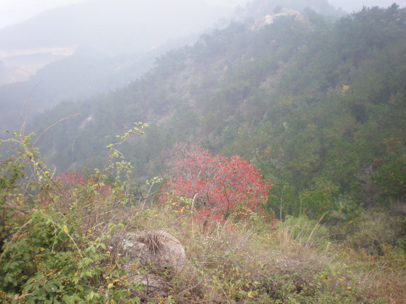 2009101220091012_20091012_16.jpg