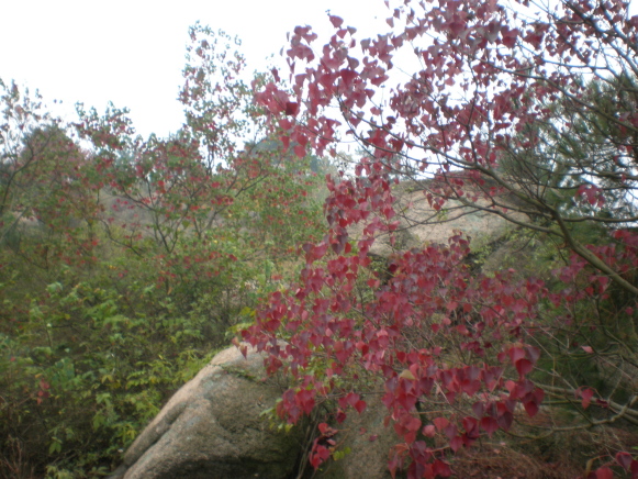 2009101220091012_20091012_09.jpg