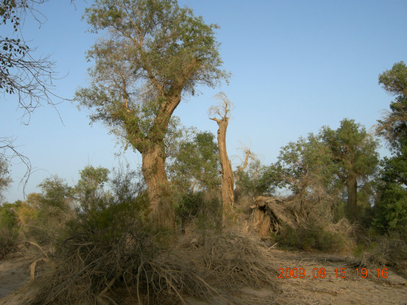 dscn3406.jpg