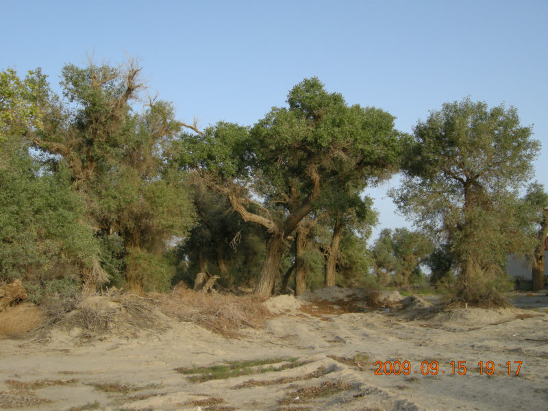dscn3407.jpg