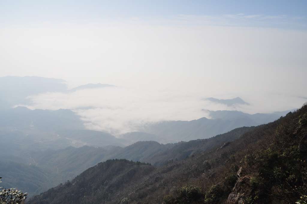 dsc_0091.jpg