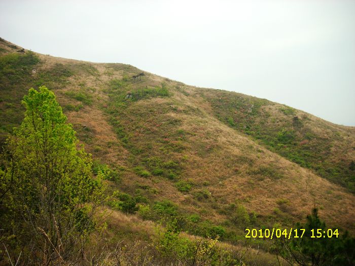 img_0156.jpg