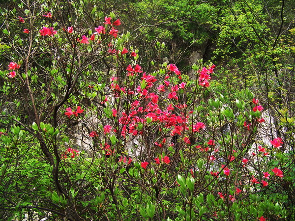 100_5215.jpg