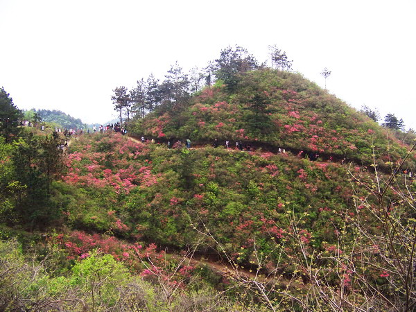 100_5327.jpg