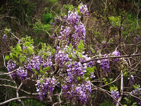 100_5324.jpg