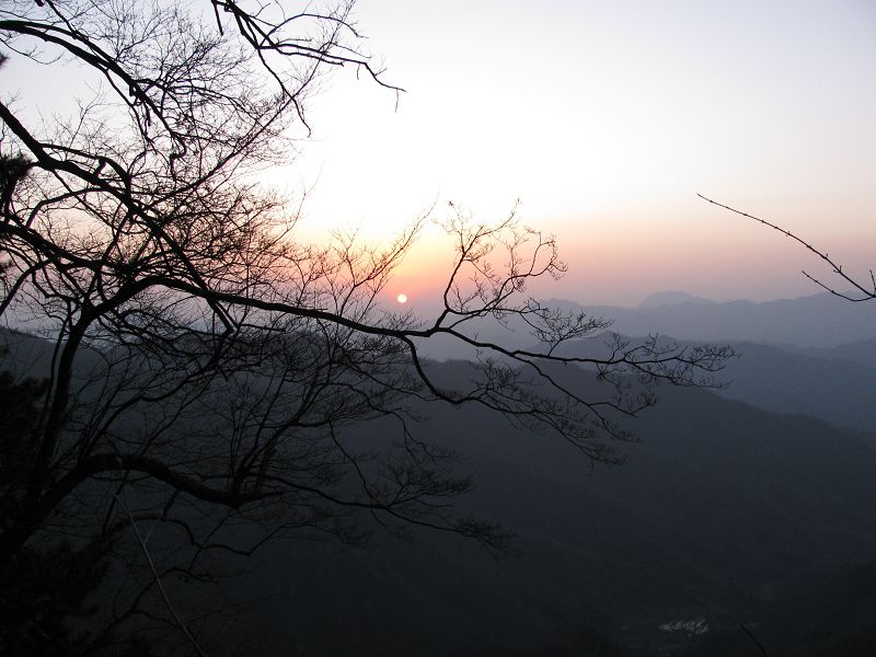 img_0913_neo_img.jpg