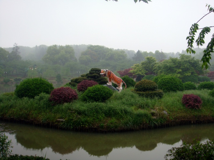 dsc07693.jpg