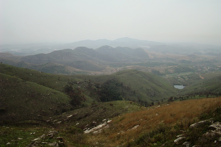 dsc06574.jpg