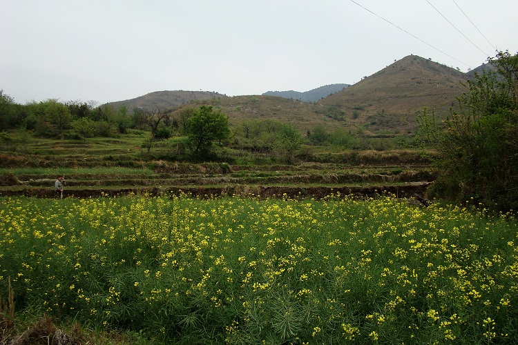 dsc06596.jpg