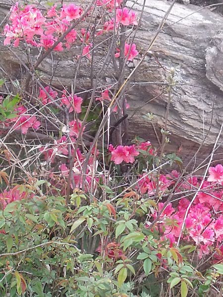 2010.4.17   045.jpg