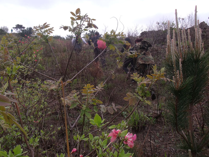 2010.4.17   077.jpg