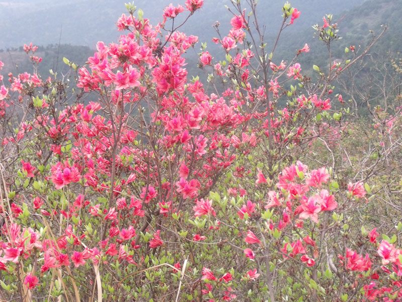 2010.4.17   071.jpg