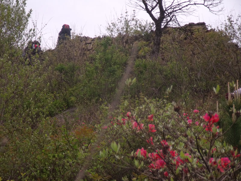 2010.4.17   083.jpg