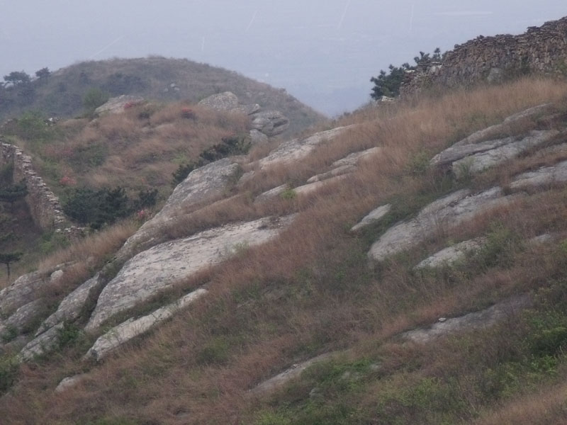 2010.4.17   098.jpg