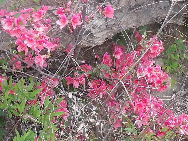2010.4.17   044.jpg