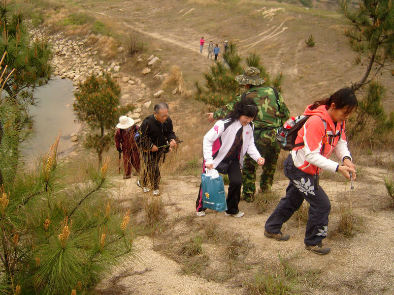 snc10015.jpg