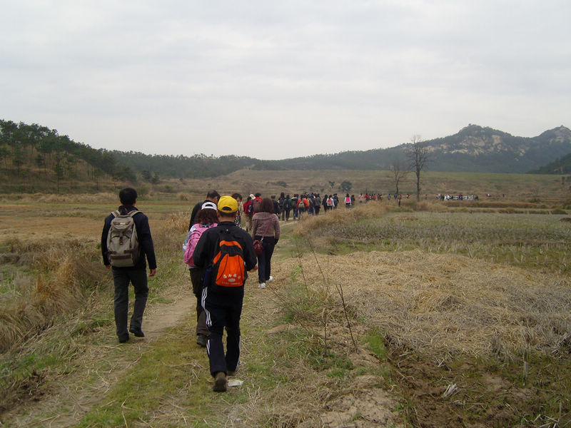 snc10003.jpg
