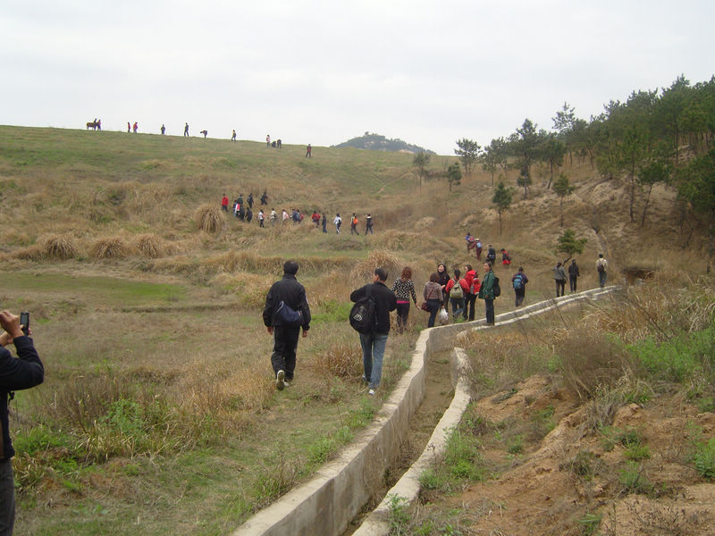 snc10006.jpg