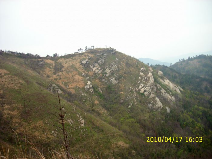 img_0165.jpg