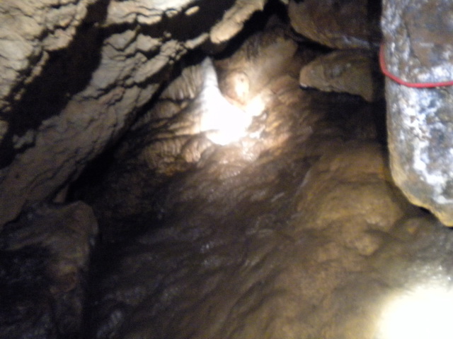dscn0867.jpg