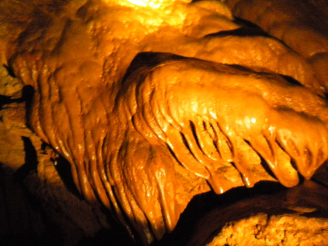 dscn0870.jpg