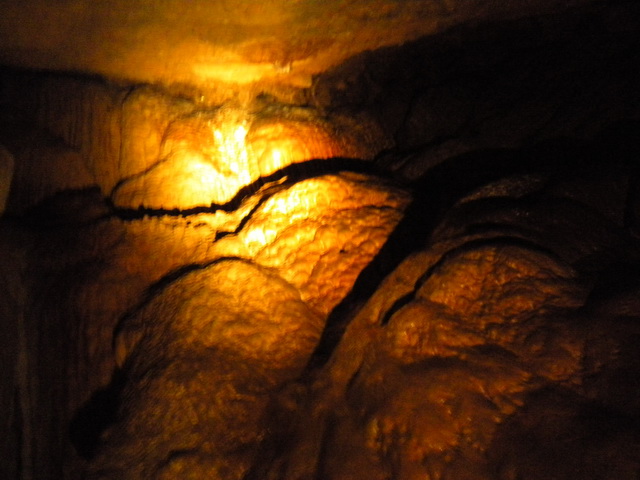 dscn0871.jpg